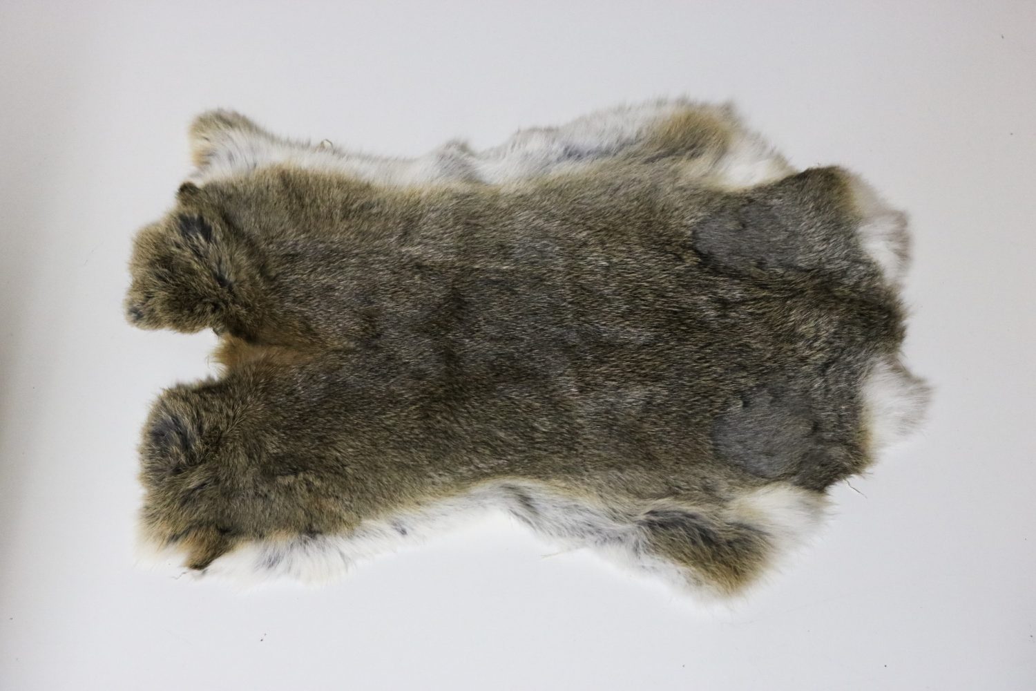 Rabbit Skin